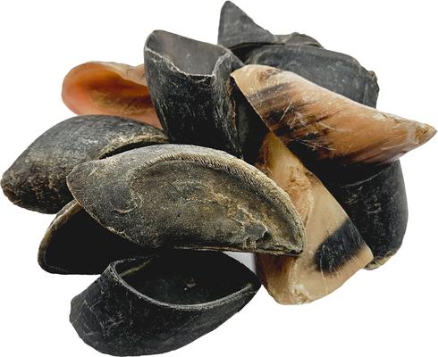 Show full view: The Treat Shack Large Cow Hooves Dog Treat, 25 count slide 8 of 10