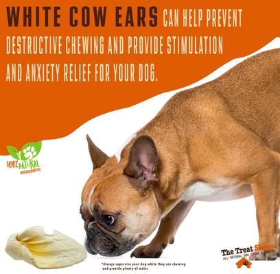 Show full view: The Treat Shack Large White Cow Ears with Base Dog Treat, 5 count slide 5 of 11