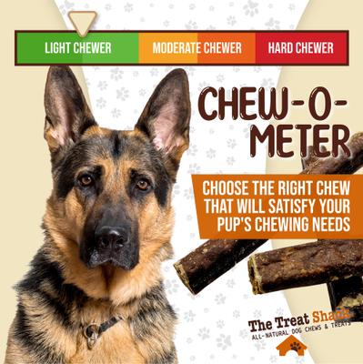 Show full view: The Treat Shack Made 100% Real Beef Sausage High-Protein Soft & Chewy Dog Treats, 6-in, 5 count slide 7 of 9