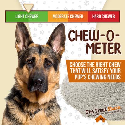 Show full view: The Treat Shack Premium Refined Dust Deer & Elk Antler Dog Food Topper Treats, 1-lb bag slide 7 of 9