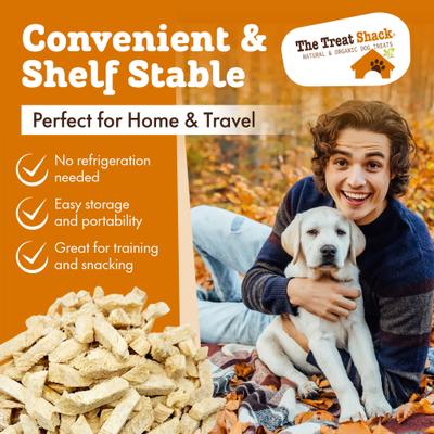 Show full view: The Treat Shack Single Ingredient Chicken Breast Freeze-Dried Dog & Cat Treats, 4-oz bag slide 7 of 10