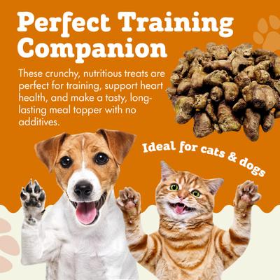 Show full view: The Treat Shack Single Ingredient Chicken Hearts Freeze-Dried Dog & Cat Treats, 8-oz bag slide 7 of 10