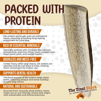 Show full view: The Treat Shack Split Naturally Shed 4 to 5-in Elk Antler Dog Treats, Small, 1 count slide 5 of 9