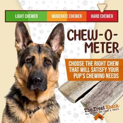 Show full view: The Treat Shack Split Naturally Shed 4 to 5-in Elk Antler Dog Treats, Small, 2 count slide 7 of 9