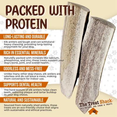 Show full view: The Treat Shack Split Naturally Shed 4 to 5-in Elk Antler Dog Treats, Small, 2 count slide 5 of 9
