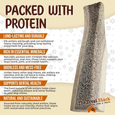 Show full view: The Treat Shack Split Naturally Shed 5 to 6-in Elk Antler Dog Treats, Medium, 1 count slide 5 of 10