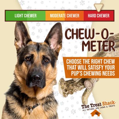 Show full view: The Treat Shack Whole Naturally Shed 10-in Deer Antler Dog Treats, Giant, 1 count slide 7 of 9