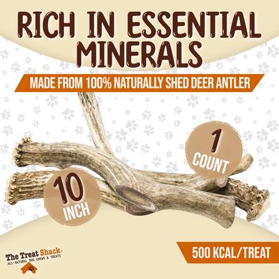 Show full view: The Treat Shack Whole Naturally Shed 10-in Deer Antler Dog Treats, Giant, 1 count slide 4 of 9