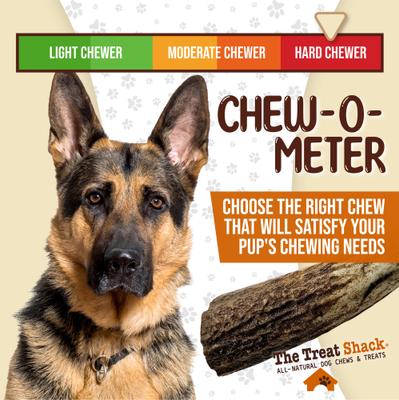 Show full view: The Treat Shack Whole Naturally Shed 4 to 5-in Elk Antler Dog Treats, Small, 1 count slide 7 of 9