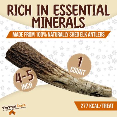 Show full view: The Treat Shack Whole Naturally Shed 4 to 5-in Elk Antler Dog Treats, Small, 1 count slide 4 of 9