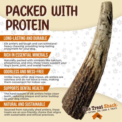 Show full view: The Treat Shack Whole Naturally Shed 4 to 5-in Elk Antler Dog Treats, Small, 1 count slide 5 of 9