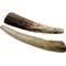 Show in main carousel: The Treat Shack Whole Naturally Shed 4 to 5-in Elk Antler Dog Treats, Small, 1 count slide 3 of 9