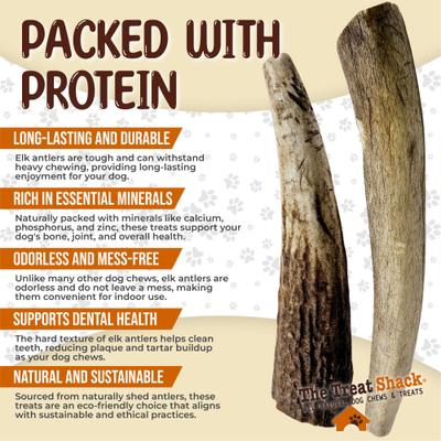 Show full view: The Treat Shack Whole Naturally Shed 4 to 5-in Elk Antler Dog Treats, Small, 2 count slide 5 of 9
