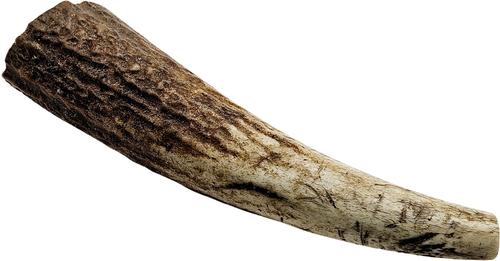 Show full view: The Treat Shack Whole Naturally Shed 4 to 5-in Elk Antler Dog Treats, Small, 2 count slide 3 of 9