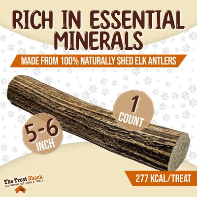 Show full view: The Treat Shack Whole Naturally Shed 5 to 6-in Elk Antler Dog Treats, Medium, 1 count slide 4 of 10