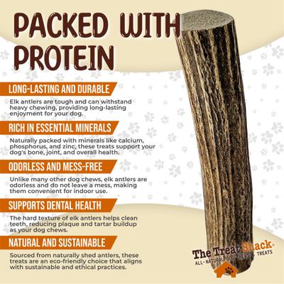 Show full view: The Treat Shack Whole Naturally Shed 5 to 6-in Elk Antler Dog Treats, Medium, 1 count slide 5 of 10