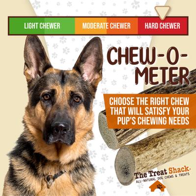 Show full view: The Treat Shack Whole Naturally Shed 5 to 6-in Elk Antler Dog Treats, Medium, 2 count slide 7 of 10