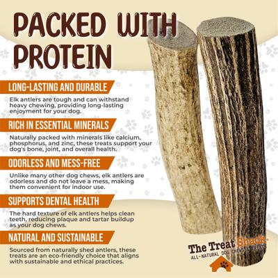 Show full view: The Treat Shack Whole Naturally Shed 5 to 6-in Elk Antler Dog Treats, Medium, 2 count slide 5 of 10