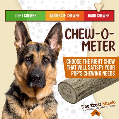 Show full view: The Treat Shack Whole Naturally Shed 5-in Deer Antler Dog Treats, Small, 1 count slide 7 of 9