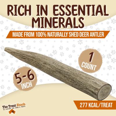 Show full view: The Treat Shack Whole Naturally Shed 5-in Deer Antler Dog Treats, Small, 1 count slide 4 of 9