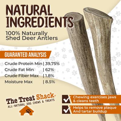 Show full view: The Treat Shack Whole Naturally Shed 5-in Deer Antler Dog Treats, Small, 2 count slide 6 of 9