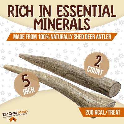 Show full view: The Treat Shack Whole Naturally Shed 5-in Deer Antler Dog Treats, Small, 2 count slide 4 of 9