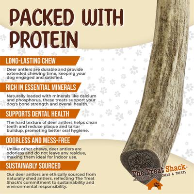 Show full view: The Treat Shack Whole Naturally Shed 6-in Deer Antler Dog Treats, Medium, 1 count slide 5 of 10