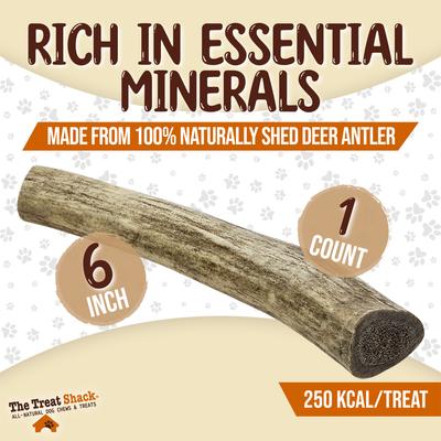 Show full view: The Treat Shack Whole Naturally Shed 6-in Deer Antler Dog Treats, Medium, 1 count slide 4 of 10