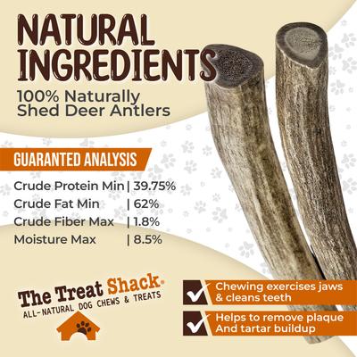 Show full view: The Treat Shack Whole Naturally Shed 6-in Deer Antler Dog Treats, Medium, 2 count slide 6 of 10