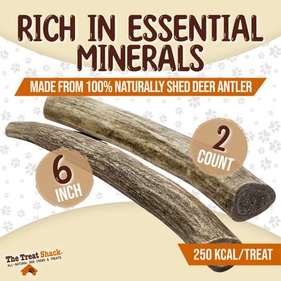 Show full view: The Treat Shack Whole Naturally Shed 6-in Deer Antler Dog Treats, Medium, 2 count slide 4 of 10