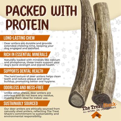 Show full view: The Treat Shack Whole Naturally Shed 6-in Deer Antler Dog Treats, Medium, 2 count slide 5 of 10