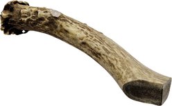 The Treat Shack Whole Naturally Shed 7-in Deer Antler Dog Treats, Large, 1 count