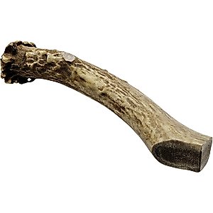 The Treat Shack Whole Naturally Shed 7-in Deer Antler Dog Treats, Large, 1 count