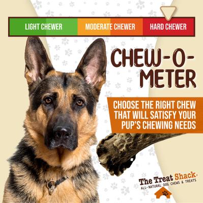 Show full view: The Treat Shack Whole Naturally Shed 7-in Deer Antler Dog Treats, Large, 1 count slide 7 of 10