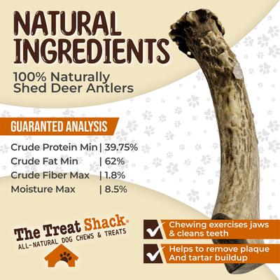 Show full view: The Treat Shack Whole Naturally Shed 7-in Deer Antler Dog Treats, Large, 1 count slide 6 of 10