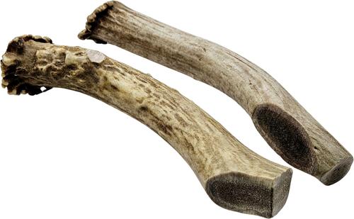 Show full view: The Treat Shack Whole Naturally Shed 7-in Deer Antler Dog Treats, Large, 1 count slide 3 of 10
