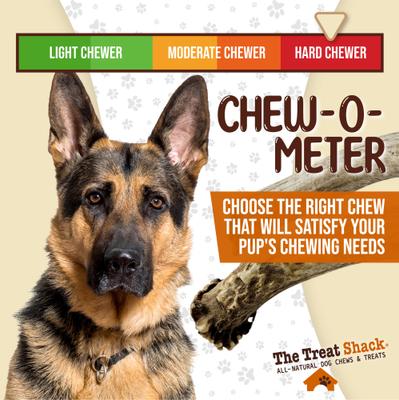 Show full view: The Treat Shack Whole Naturally Shed 7-in Deer Antler Dog Treats, Large, 2 count slide 7 of 10