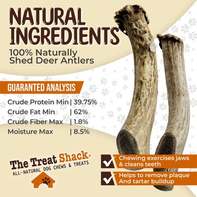 Show full view: The Treat Shack Whole Naturally Shed 7-in Deer Antler Dog Treats, Large, 2 count slide 6 of 10