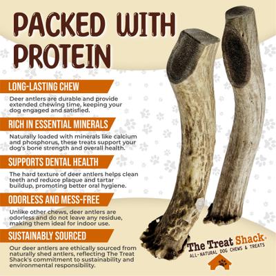 Show full view: The Treat Shack Whole Naturally Shed 7-in Deer Antler Dog Treats, Large, 2 count slide 5 of 10
