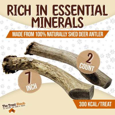 Show full view: The Treat Shack Whole Naturally Shed 7-in Deer Antler Dog Treats, Large, 2 count slide 4 of 10