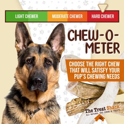 Show full view: The Treat Shack Whole Naturally Shed 8-in Deer Antler Dog Treats, X-Large, 1 count slide 7 of 10