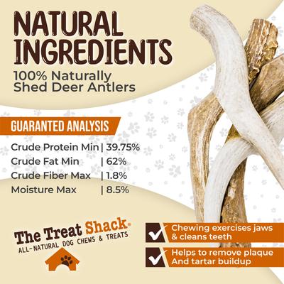 Show full view: The Treat Shack Whole Naturally Shed 8-in Deer Antler Dog Treats, X-Large, 1 count slide 6 of 10