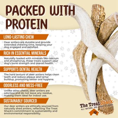 Show full view: The Treat Shack Whole Naturally Shed 8-in Deer Antler Dog Treats, X-Large, 1 count slide 5 of 10