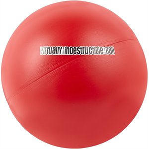 The Virtually Indestructible Ball Dog Toy, Color Varies, 10-in
