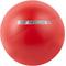 Show in main carousel: The Virtually Indestructible Ball Dog Toy, Color Varies, 10-in slide 1 of 7