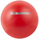 The Virtually Indestructible Ball Dog Toy, Color Varies, 10-in