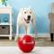 Show in main carousel: The Virtually Indestructible Ball Dog Toy, Color Varies, 10-in slide 4 of 7