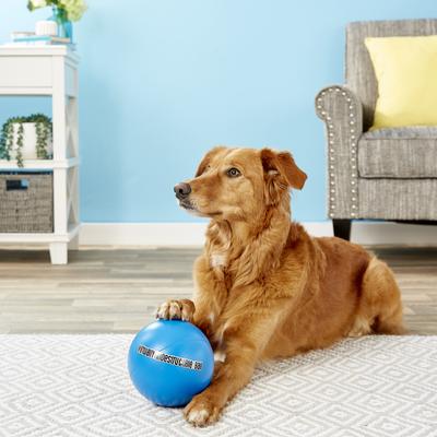Show full view: The Virtually Indestructible Ball Dog Toy, Color Varies, 6-in slide 3 of 6