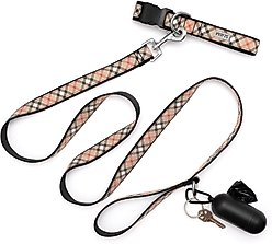 The Worthy Dog Bias Plaid Lead Dog Leash, Tan, Large: 5-ft long, 1-in wide slide 2 of 4