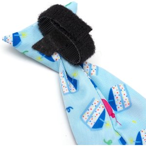 The Worthy Dog Birthday Boy Dog Neck Tie, Blue, Small
